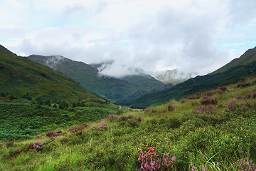 Image showing Glenfinnan scenery at summer time