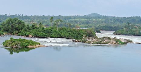 Image showing River Nile scenery near Jinja in Africa