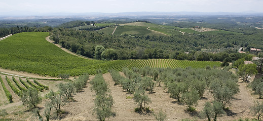 Image showing Chianti in Tuscany