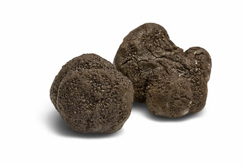 Image showing truffles