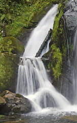 Image showing idyllic Triberg Waterfalls