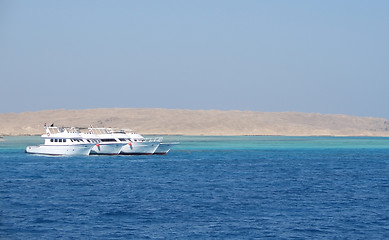 Image showing egyptian Red Sea scenery