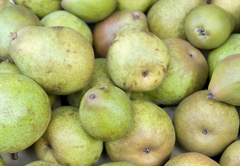 Image showing background with green pears