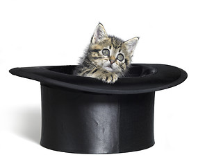 Image showing kitten looking out of a black top hat