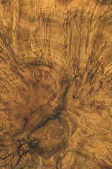 Image showing brown burl wood detail