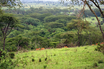 Image showing Queen Elizabeth National Park in Uganda