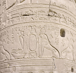 Image showing relief at a column in egypt