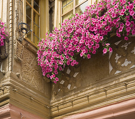 Image showing architectural detail in Miltenberg