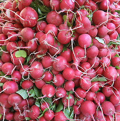 Image showing full frame radish background