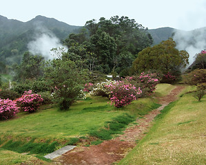 Image showing geothermic activity at the Azores