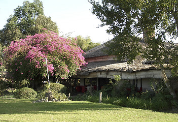 Image showing idyllic Momela Wildlife Lodge