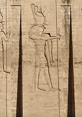 Image showing relief at the Temple of Edfu in Egypt