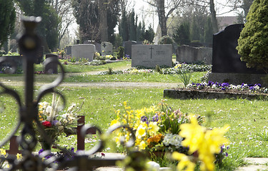 Image showing graveyard detail