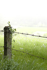 Image showing rural fence detail