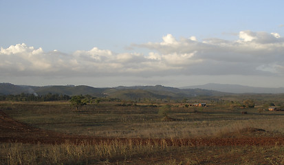 Image showing Tarangire scenery in Africa at evening time