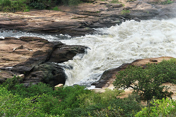 Image showing whitewater at Murchison Falls in Uganda