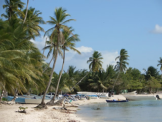 Image showing Dominican Republic beach scenery