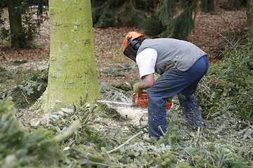 Image showing lumberman at work