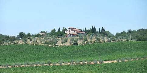 Image showing Chianti in Tuscany