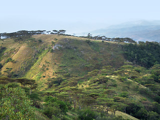 Image showing Queen Elizabeth National Park in Uganda