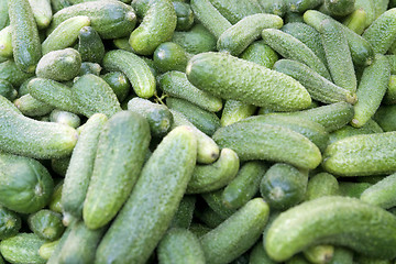 Image showing lots of green gherkins