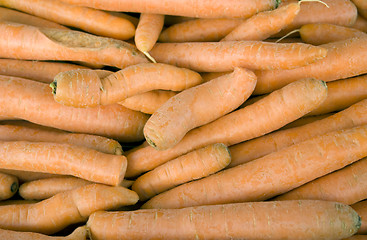 Image showing lots of fresh carrots