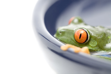 Image showing ribbit