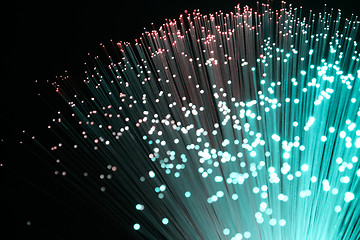 Image showing plastic optical fibers