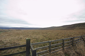 Image showing timber fence in Scotland