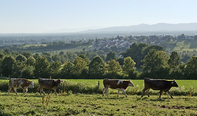 Image showing sunny illuminated around Emmendingen