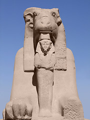 Image showing ancient Sphinx in sunny ambiance