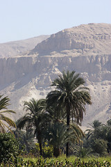Image showing between Aswan and Luxor