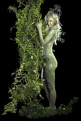 Image showing dryad