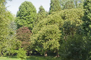 Image showing various trees in the Liliental