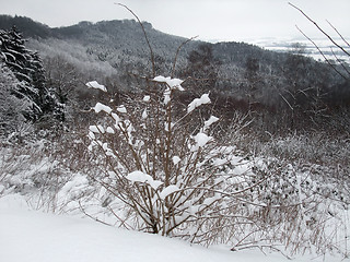 Image showing snow covered landscape