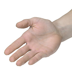 Image showing open hand