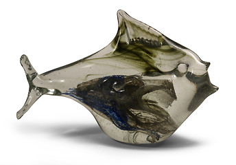 Image showing glass fish