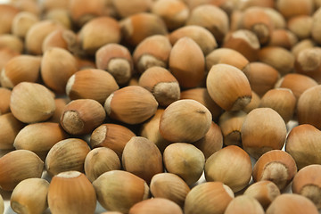 Image showing hazelnut background