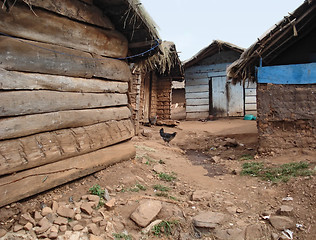 Image showing small village on a island in the Lake Victoria