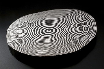 Image showing sliced wood with black and white annual rings