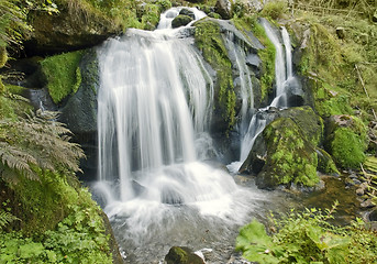 Image showing idyllic Triberg Waterfalls