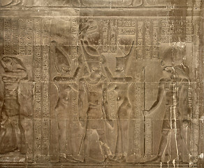 Image showing ancient relief at the Temple of Kom Ombo
