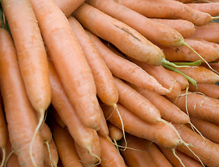 Image showing lots of fresh carrots