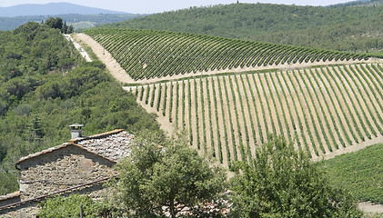 Image showing Chianti in Tuscany