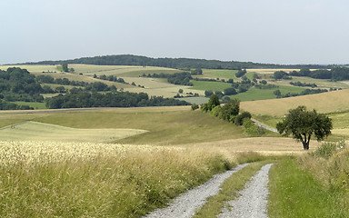 Image showing rural panoramic scenery with farm track