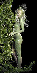 Image showing dryad