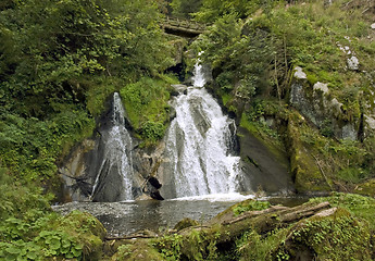 Image showing idyllic Triberg Waterfalls