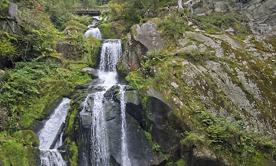 Image showing idyllic Triberg Waterfalls