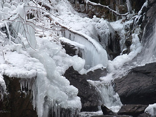 Image showing natural winter detail