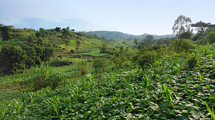 Image showing near Rwenzori Mountains